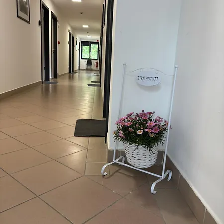 Vitrin Panzio 住宿加早餐酒店 3*